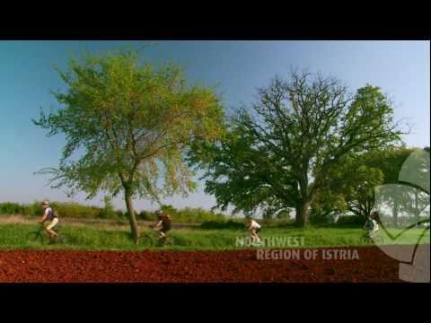 Welcome to the north-western Istria - In all the colours of Istria