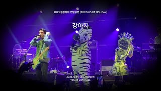 검정치마 (The Black Skirts) - 강아지 (4K Live Full) [2023 201 DAYS OF HOLIDAY]