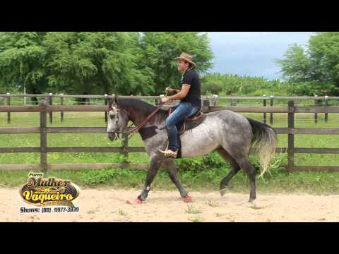 Forró Mulher de Vaqueiro - Mulher de Vaqueiro - (Clipe Oficial)