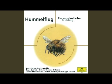 Grieg: 2 Elegiac Melodies, Op. 34: No. 2, The Last Spring (After Op. 33/2)