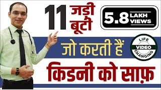 11 Ayurvedic Herbs to Flush and Cleanse the Kidney Tract by Dr Puneet