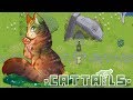 Ketahui A Kitten Born for Wild Life  Cattails Mossie s Journey Episode 1, Video Plants That Look Like Cattails paling heboh!