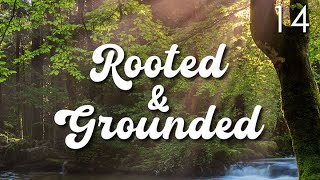 Rooted & Grounded - 14