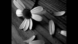 Rette Parallele,Dente [Marta]