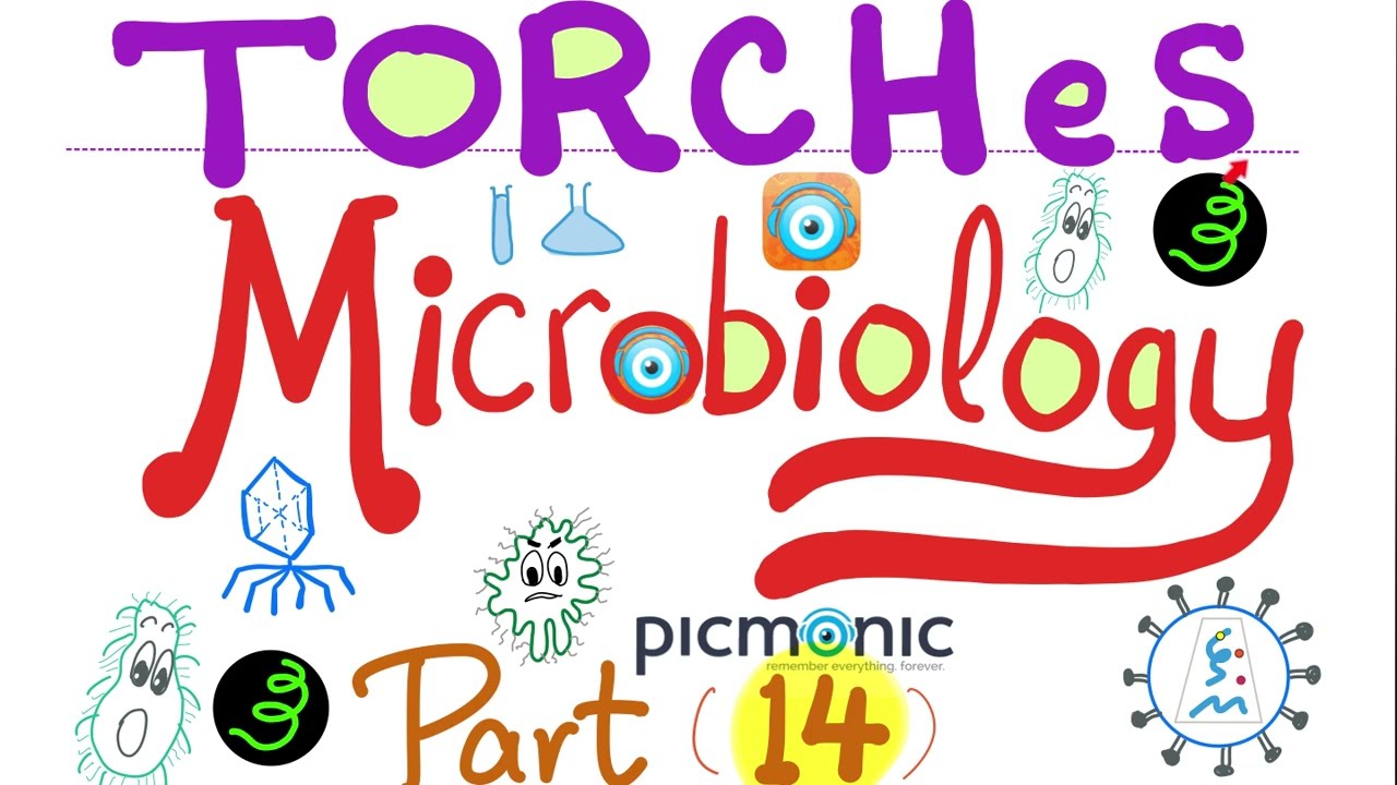 TORCHeS infections - Toxoplasma, Others, Rubella, CMV, Herpes, HIV, Syphilis - Picmonic -Micro (#14)