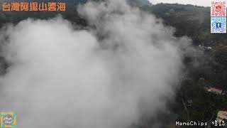 【台灣嘉義必遊景點｜阿里山觀雲海】｜玩樂。攝影。航拍｜MemoChips 憶誌
