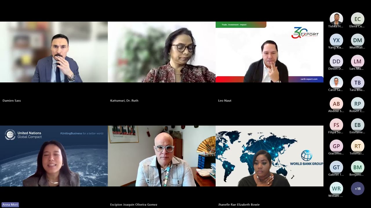 Webinar: Enabling the Business Environment in Small Island Developing States
