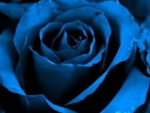 Negramaro-Blu Cobalto.wmv