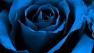 Negramaro-Blu Cobalto.wmv