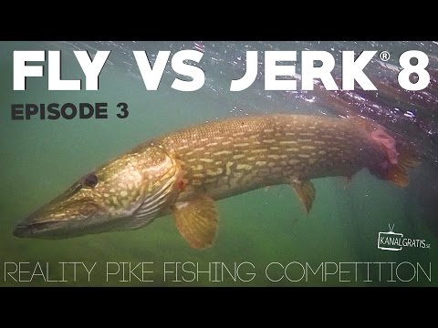 Fly vs Jerk 8 - EPISODE 3 - Kanalgratis.se (with German, French & Dutch subtitles)