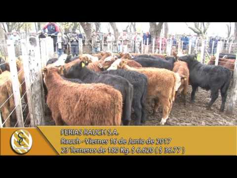 16-06-17 Venta de Machos - Ferias Rauch S.A. - Rauch