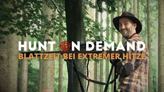 Blattzeit bei extremer Hitze ☀️ von @Huntingroom
