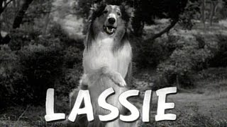 Lassie  1954 - 1973 Opening and Closing Theme (With the Lone Ranger Snippet)