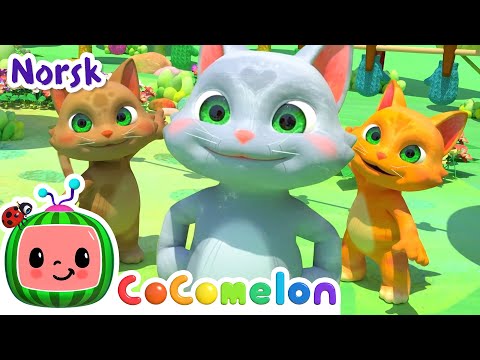 Tre små katter | Vuggesanger for Babyer | CoComelon Norsk