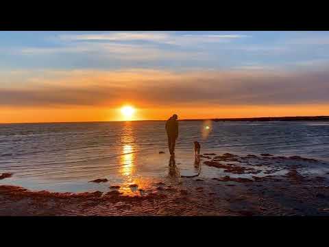 Carl-Einar Häckner comedy show LIVE in a studio. 8 Maj Kl 19.30