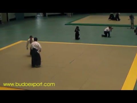 48th All Japan Aikido - Sasaki Teijyu Shidoin