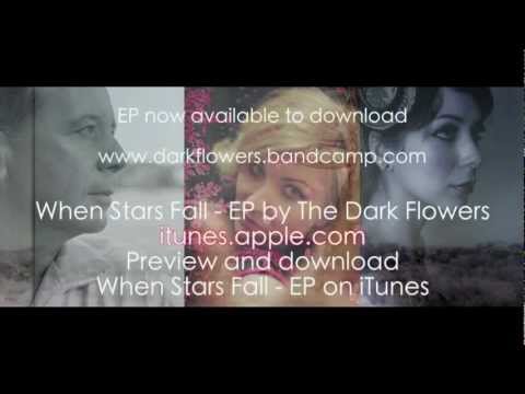 The Dark Flowers feat.JIM KERR-Night is the New Day-(alternative video)