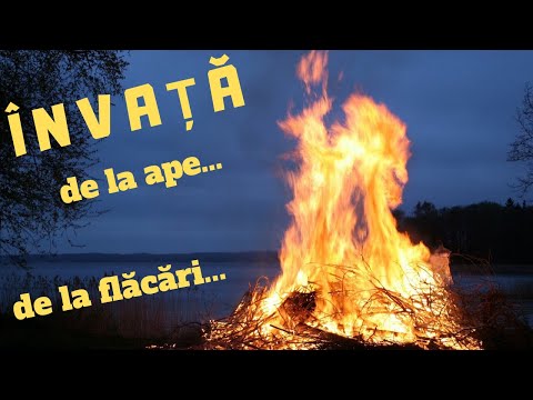 Traian Dorz - Invata de la toate - de la ape sa ai statornic drum