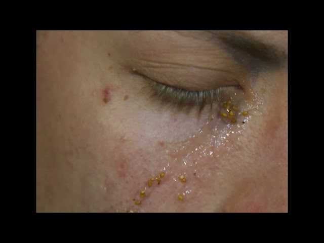 PSALMS (2003) short film by Eric Leiser