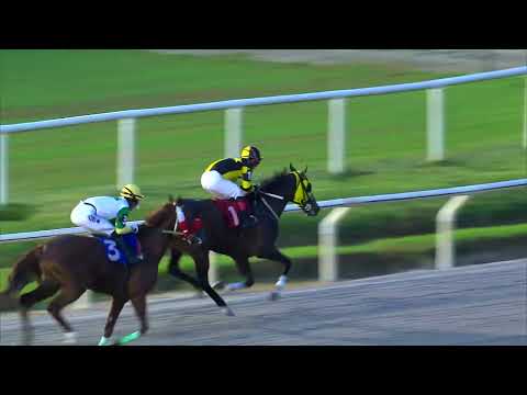 230416 c10 MERETZ (ARG)