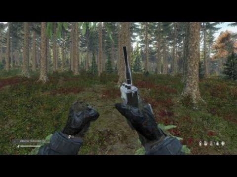 DayZ RP - A conspiracy is afoot!!!
