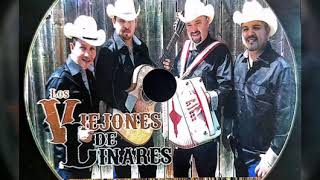 El Dardo Los Viejones de Linares