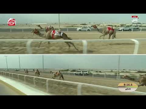 ش 12 (الفاتن) لـ صغير عبدالله بدر سعيد العامري 12:45:87 ، مهرجان ختامي الشحانية 2026/04/27 زمول