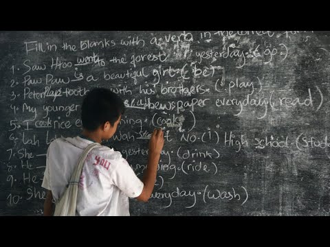 Languages Cannot be Taught. They Can Only Be Learned/Acquired