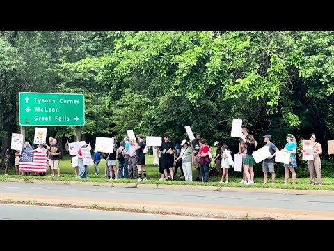 Virginia No Kings Protest in McLean