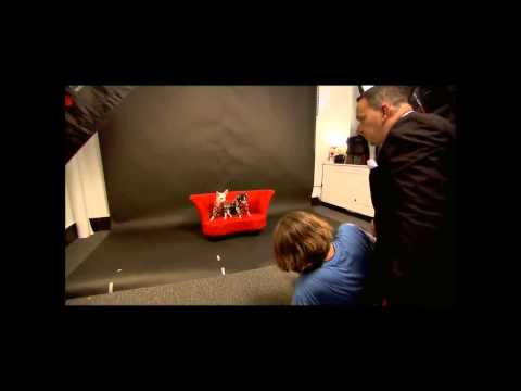 Belgium Tv Show with Anthony Rubio  Anthony Rubio Design Yoni Levy / Photography By Yoni