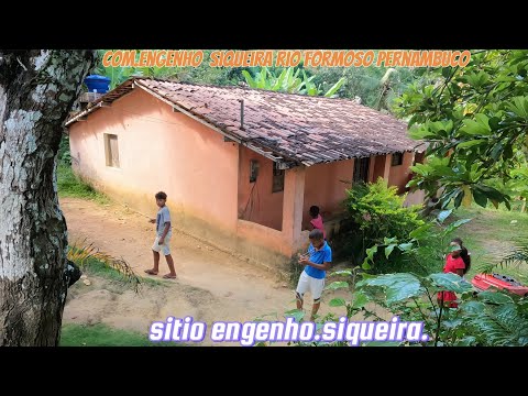 Registrando sitio comunidade engenho,Siqueira rio formoso. Pe
