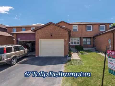 67 Tulip Dr, Brampton, ON L6Y
