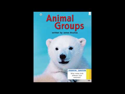 Animal Groups