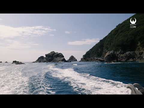Short Footage -大堂海岸クルーズ-