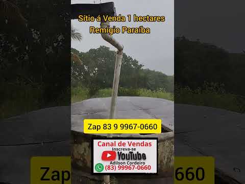 Sítio á Venda 1 hectares em Remígio Paraíba Brasil Valor 80 Mil reais Zap 83 9 9967-0660