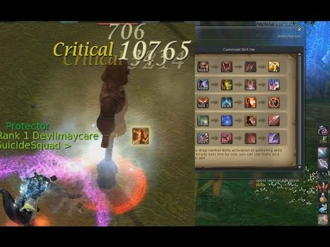 Aion 5.4 Best Assassin PVE Customised Skill Use