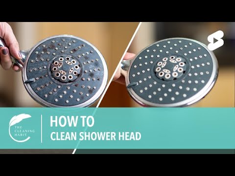 How to Clean Shower Head #shorts