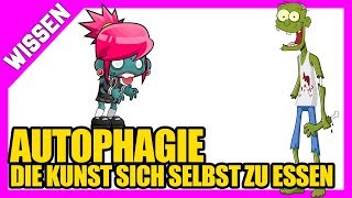 nahrungsergänzungsmittel selbst zusammenstellen