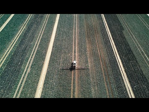 Fotograma del vídeo: La UE podría subvencionar la agricultura con fondos del carbono