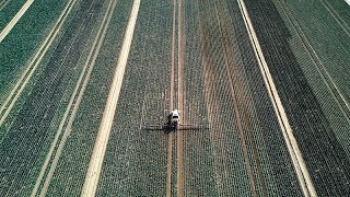 La UE podría subvencionar la agricultura con fondos del carbono