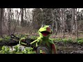 Kermit Sings Rainbow Connection