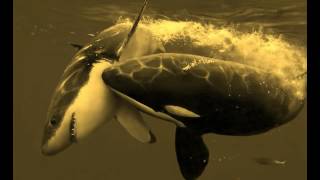 Andre Nickatina  - Crooked crow (Instrumental Sampled)