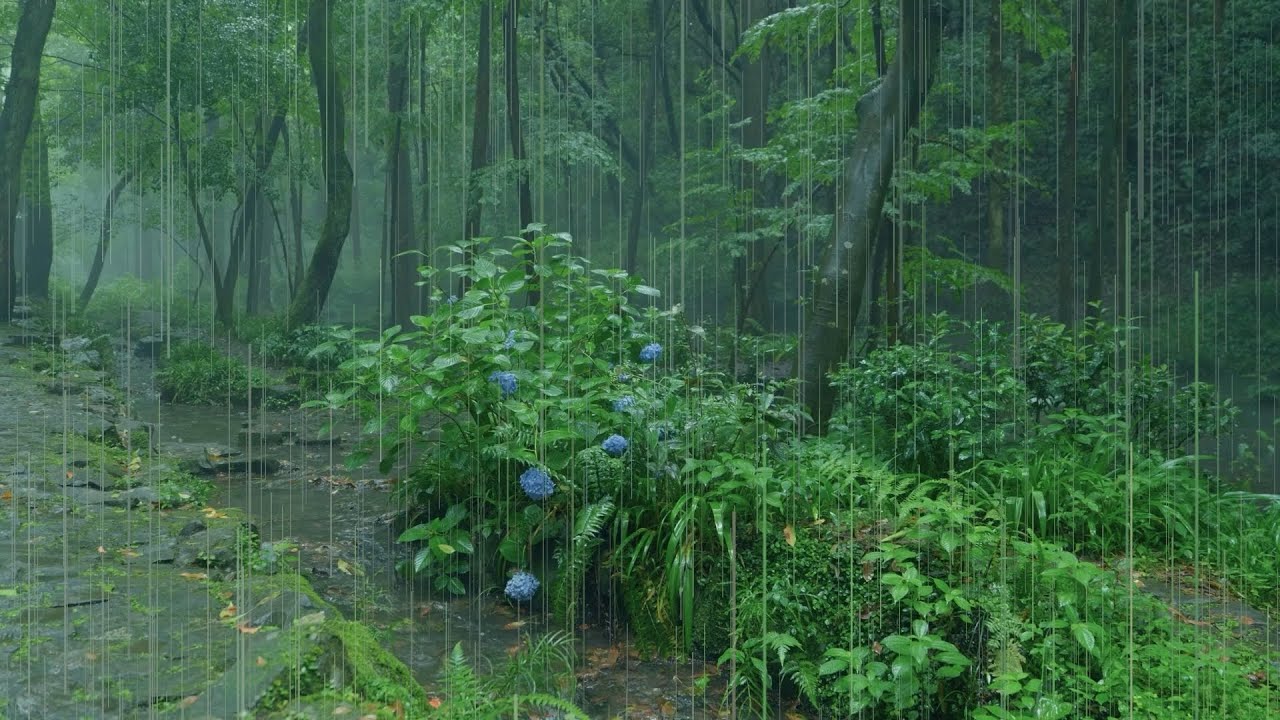 The streams and rain in the valley(27), sleep, relax, meditate, study, work, ASMR