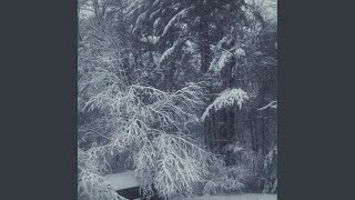 Snowfall Music Video