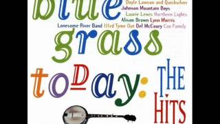 Rice Brothers - Grapes on the Vine