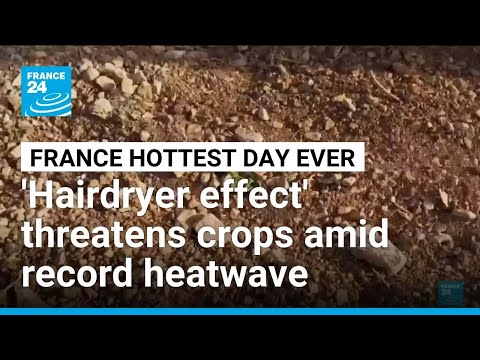 France record heatwave sees 'hairdryer effect' threaten crops