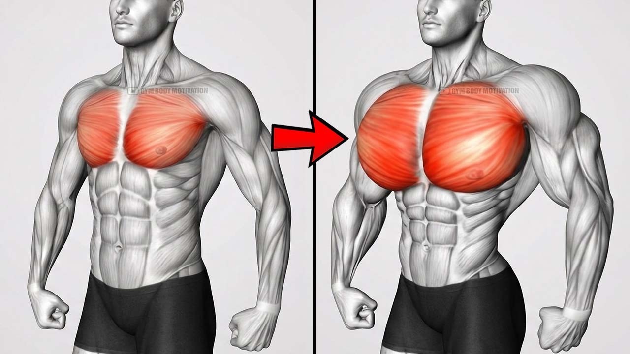 6 Chest Exercises for Massive, Armor-Plated Pecs (Proven Blueprint)