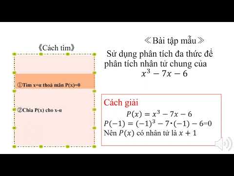 高2＿方程式,式と証明＿因数定理（ベトナム語版）