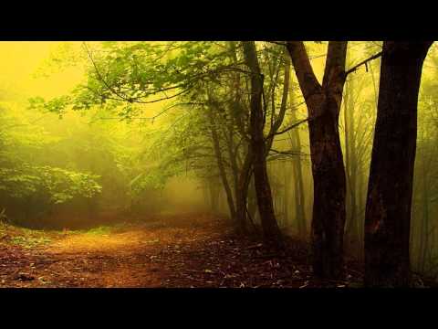 Klaus Schulze - Jan Pieterszoon Sweelinck