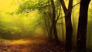 Klaus Schulze - Jan Pieterszoon Sweelinck